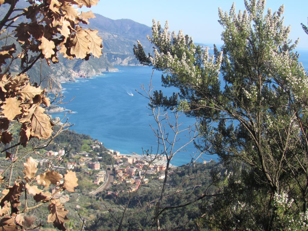 Green Quiet Affittacamere Pignone Luaran gambar